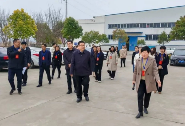 宜阳县人大代表一行莅临美噶包装